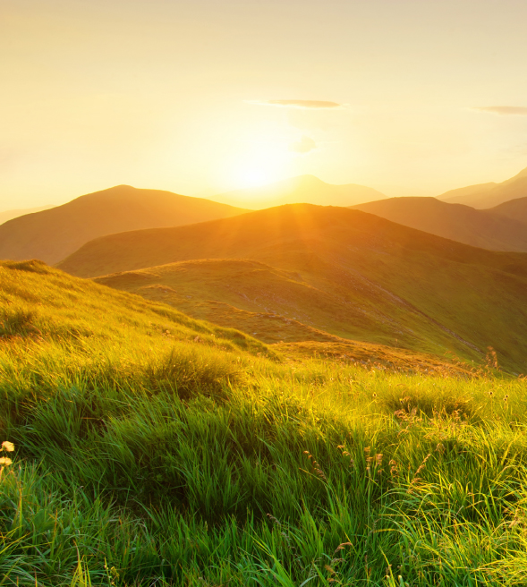 Orphea_unastoriaalnaturale_timeline_oggi