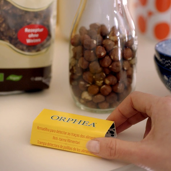 Orphea-Küche final 8-10 Mbit