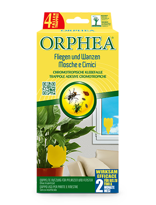 trappole-mosche-cimici-dettaglio-320x420