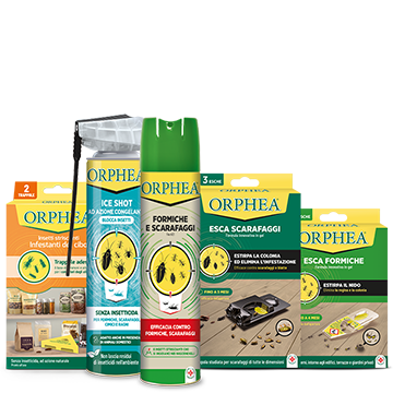 Orphea Insetticidi e trappole per insetti striscianti e infestanti