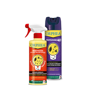 Orphea-groupage-Orphea-Protezione-Casa-groupage-insetticidi-500x700_Multinsetto