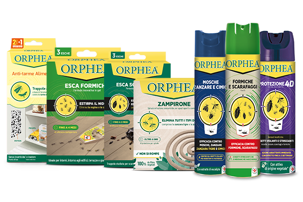 Orphea protezione casa: insetticidi e trappole inodore ad azione naturale